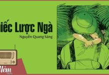 Soạn bài: Chiếc lược ngà – Nguyễn Quang Sáng