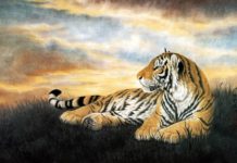 Tìm hiểu chi tiết văn bản: Nhớ rừng – Thế Lữ