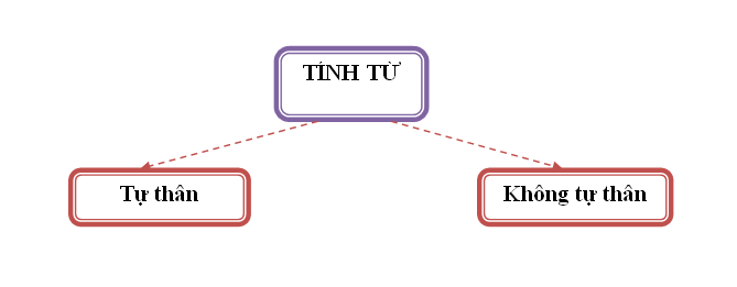 Tính từ là gì? Tính từ và cụm tính từ | Phần Tiếng Việt