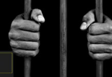 Tìm hiểu chi tiết văn bản: Khi con tu hú – Tố Hữu