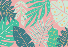 Những phương pháp viết mở bài – kết bài đi vào lòng người