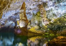 Tìm hiểu văn bản: Động Phong Nha – Trần Hoàng