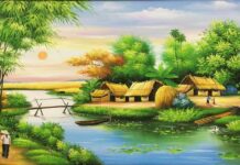 Tìm hiểu văn bản: Tục ngữ về con người và xã hội