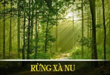 Tìm hiểu văn bản: Rừng xà nu – Nguyễn Trung Thành